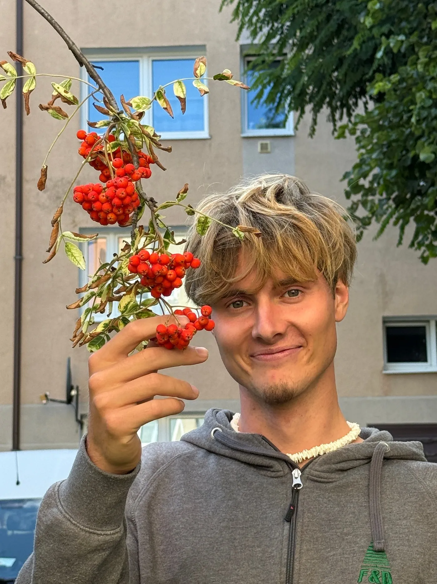 Portrait d’Eloy tenant une branche de sorbier des oiseleurs chargée de baies