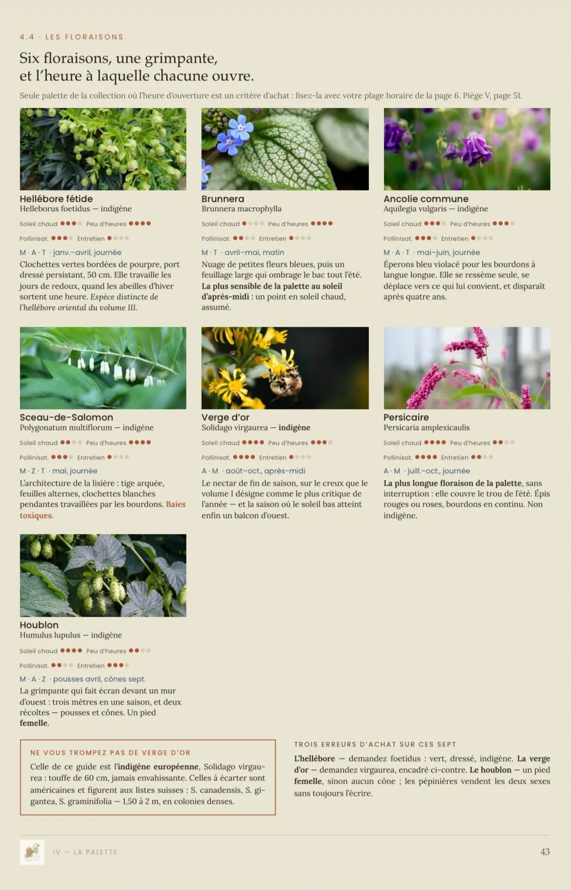Page intérieure du Guide Demi-Jour : les floraisons et l’heure à laquelle chacune ouvre
