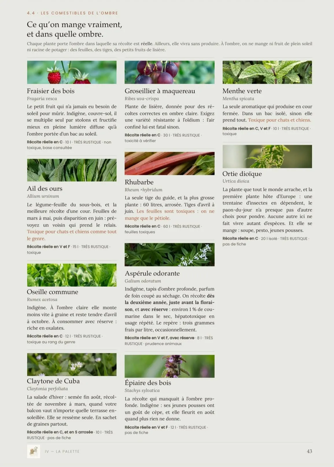 Page intérieure du Guide Ombre : fiches des plantes comestibles qui produisent à l’ombre