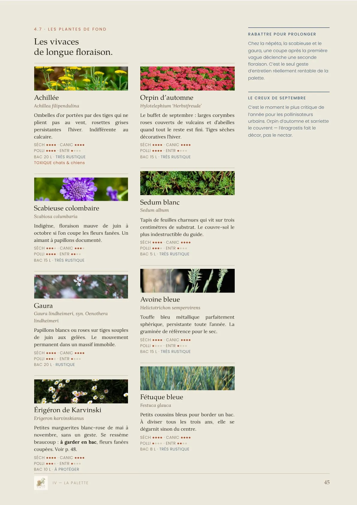 Page intérieure du Guide Plein Soleil : fiches de plantes vivaces de longue floraison