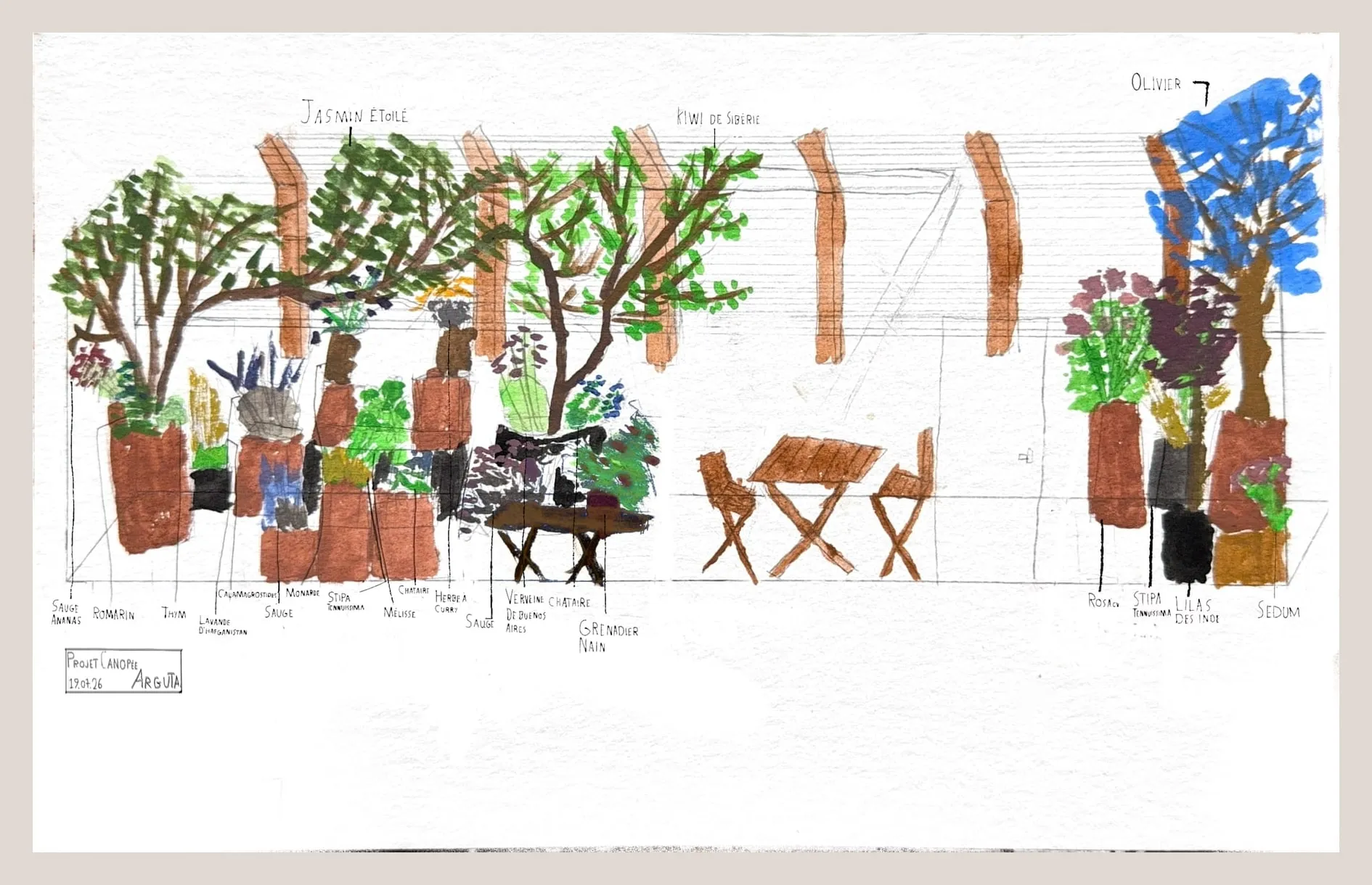 Le Projet Canopée, une élévation Arguta peinte à la main : chaque plante est nommée